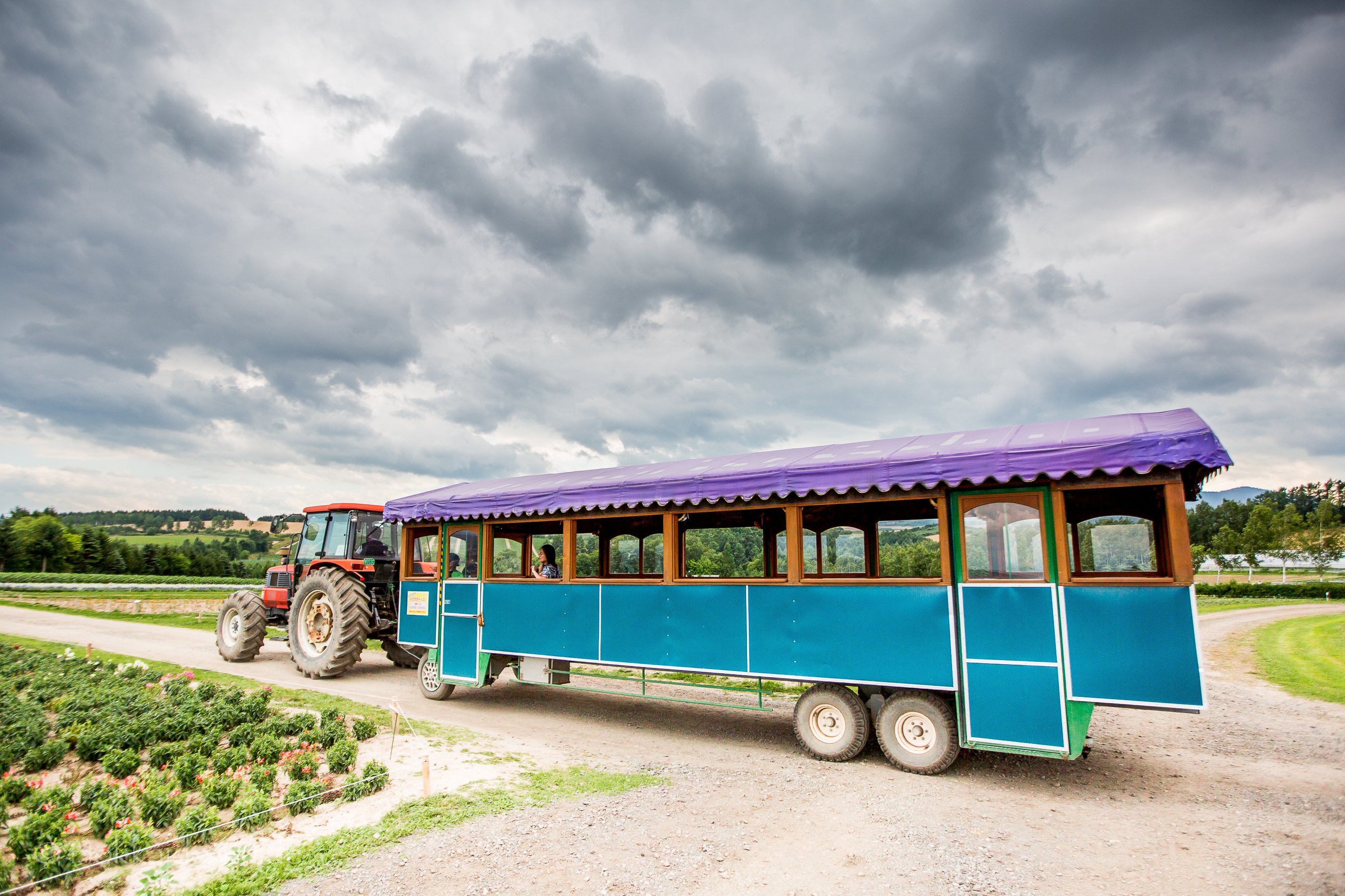 🌸 꽃의 땅 가미후라노(플라워랜드 가미후라노) 이미지 4